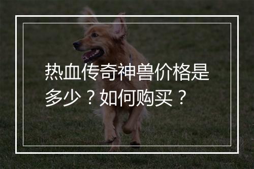 热血传奇神兽价格是多少？如何购买？