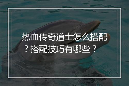热血传奇道士怎么搭配？搭配技巧有哪些？