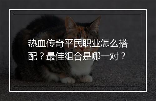 热血传奇平民职业怎么搭配？最佳组合是哪一对？