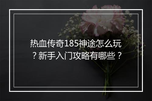 热血传奇185神途怎么玩？新手入门攻略有哪些？