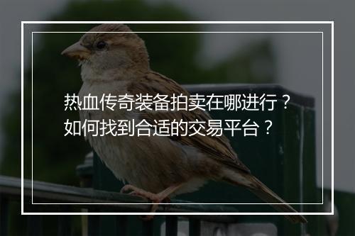 热血传奇装备拍卖在哪进行？如何找到合适的交易平台？