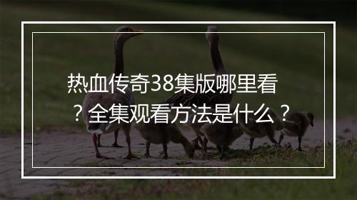 热血传奇38集版哪里看？全集观看方法是什么？