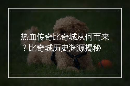 热血传奇比奇城从何而来？比奇城历史渊源揭秘