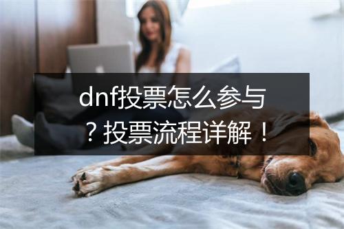 dnf投票怎么参与？投票流程详解！