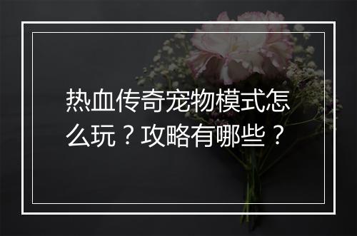 热血传奇宠物模式怎么玩？攻略有哪些？