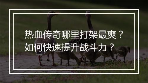 热血传奇哪里打架最爽？如何快速提升战斗力？