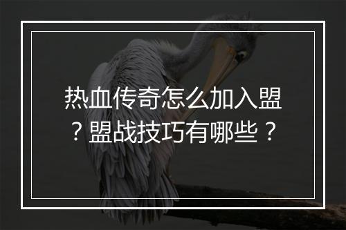 热血传奇怎么加入盟？盟战技巧有哪些？