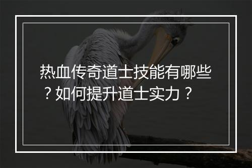 热血传奇道士技能有哪些？如何提升道士实力？