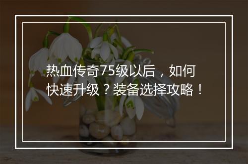 热血传奇75级以后，如何快速升级？装备选择攻略！