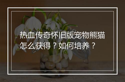 热血传奇怀旧版宠物熊猫怎么获得？如何培养？