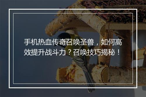 手机热血传奇召唤圣兽，如何高效提升战斗力？召唤技巧揭秘！