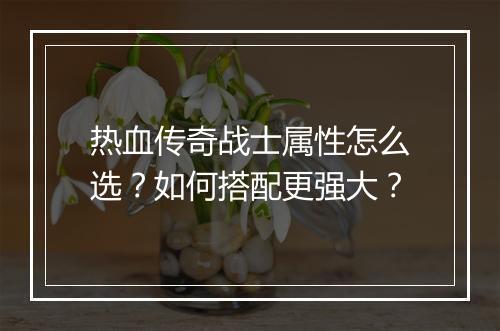 热血传奇战士属性怎么选？如何搭配更强大？