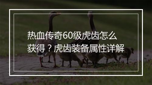 热血传奇60级虎齿怎么获得？虎齿装备属性详解
