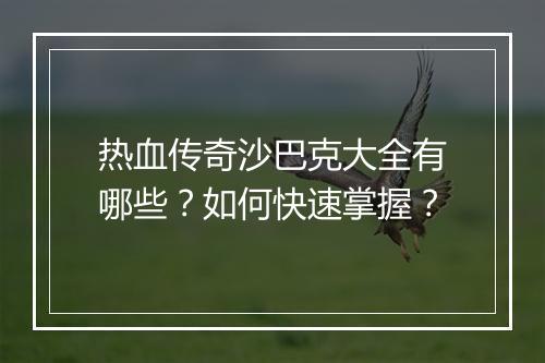 热血传奇沙巴克大全有哪些？如何快速掌握？
