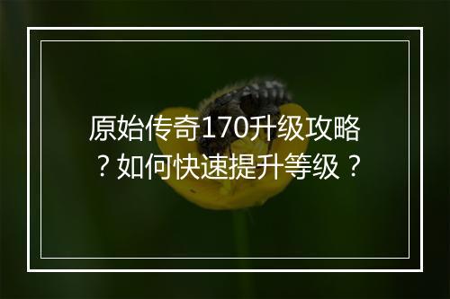 原始传奇170升级攻略？如何快速提升等级？