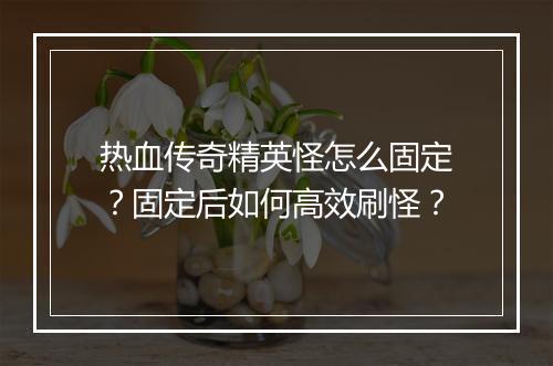 热血传奇精英怪怎么固定？固定后如何高效刷怪？