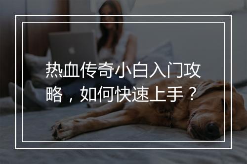 热血传奇小白入门攻略，如何快速上手？