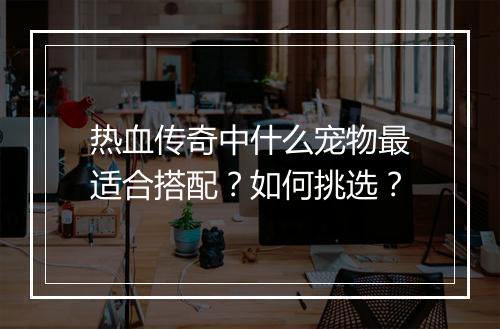 热血传奇中什么宠物最适合搭配？如何挑选？