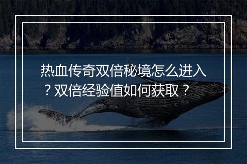 热血传奇双倍秘境怎么进入？双倍经验值如何获取？