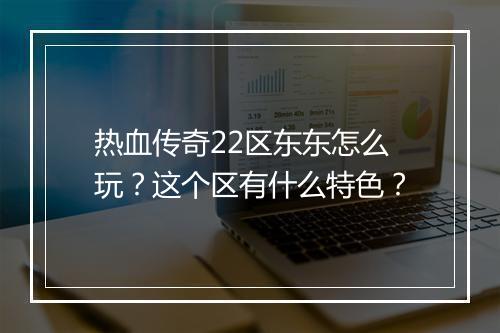 热血传奇22区东东怎么玩？这个区有什么特色？