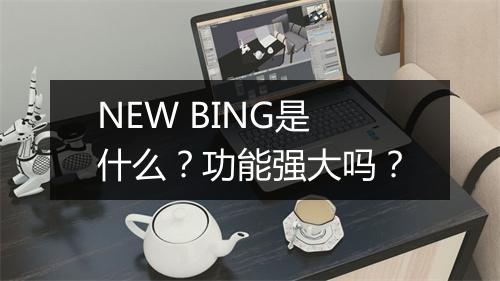 NEW BING是什么？功能强大吗？