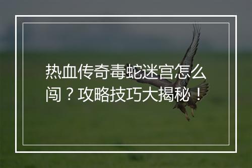 热血传奇毒蛇迷宫怎么闯？攻略技巧大揭秘！