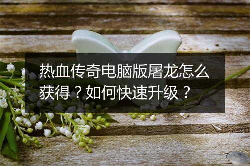 热血传奇电脑版屠龙怎么获得？如何快速升级？
