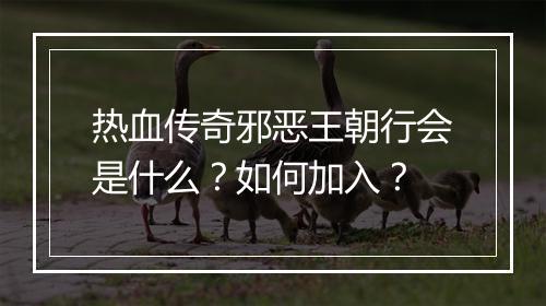 热血传奇邪恶王朝行会是什么？如何加入？