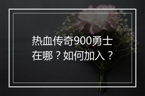 热血传奇900勇士在哪？如何加入？