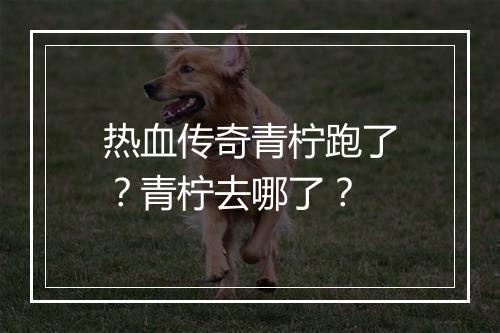 热血传奇青柠跑了？青柠去哪了？
