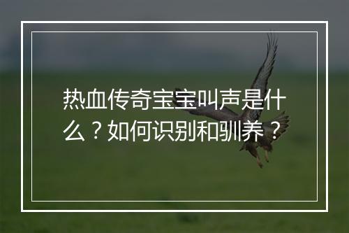 热血传奇宝宝叫声是什么？如何识别和驯养？