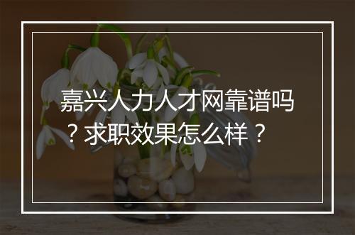 嘉兴人力人才网靠谱吗？求职效果怎么样？