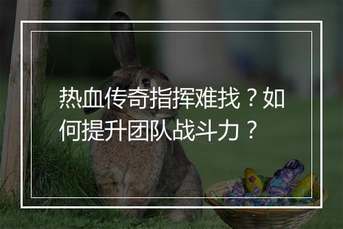 热血传奇指挥难找？如何提升团队战斗力？