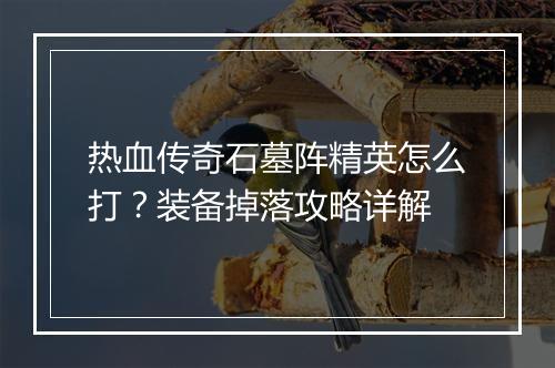 热血传奇石墓阵精英怎么打？装备掉落攻略详解
