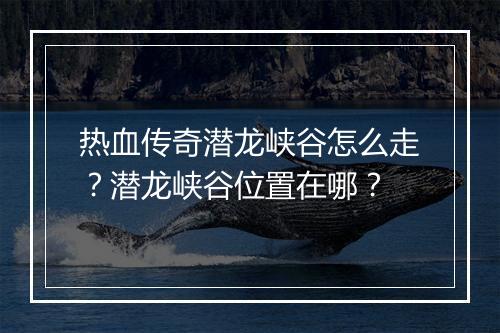 热血传奇潜龙峡谷怎么走？潜龙峡谷位置在哪？