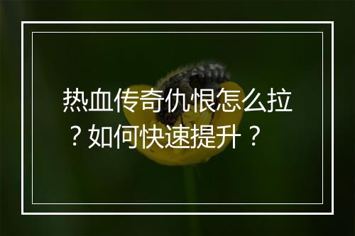 热血传奇仇恨怎么拉？如何快速提升？