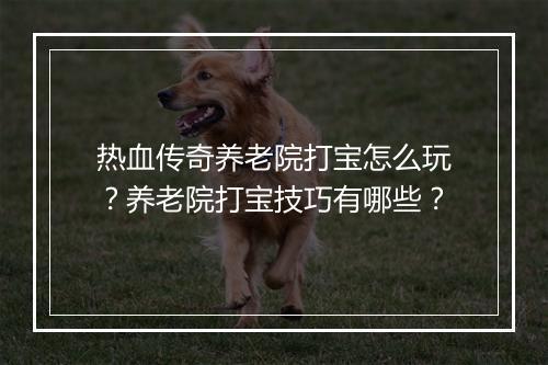 热血传奇养老院打宝怎么玩？养老院打宝技巧有哪些？