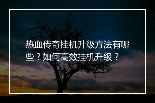 热血传奇挂机升级方法有哪些？如何高效挂机升级？
