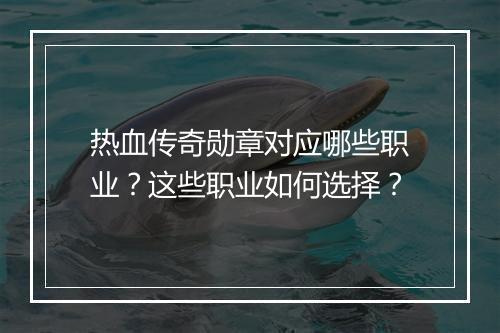 热血传奇勋章对应哪些职业？这些职业如何选择？