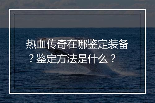热血传奇在哪鉴定装备？鉴定方法是什么？