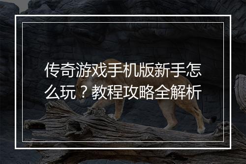 传奇游戏手机版新手怎么玩？教程攻略全解析