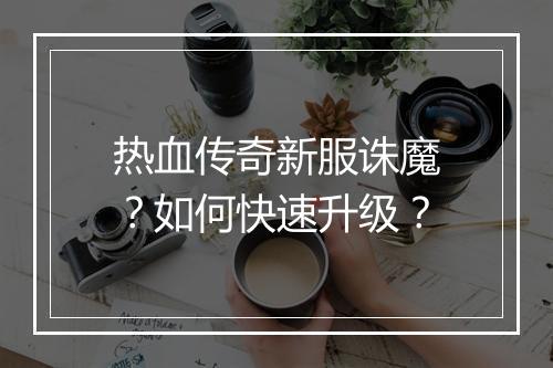热血传奇新服诛魔？如何快速升级？