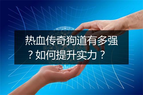热血传奇狗道有多强？如何提升实力？