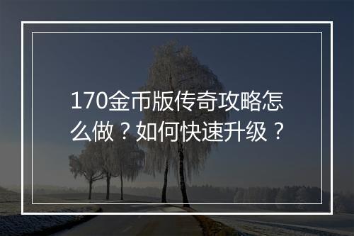 170金币版传奇攻略怎么做？如何快速升级？