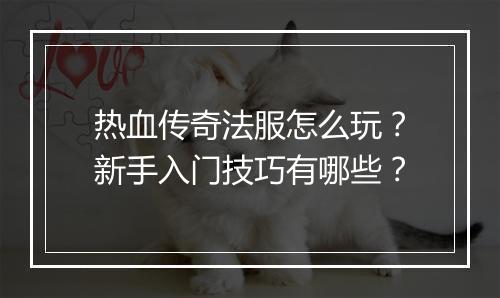 热血传奇法服怎么玩？新手入门技巧有哪些？