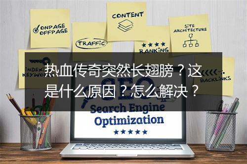 热血传奇突然长翅膀？这是什么原因？怎么解决？