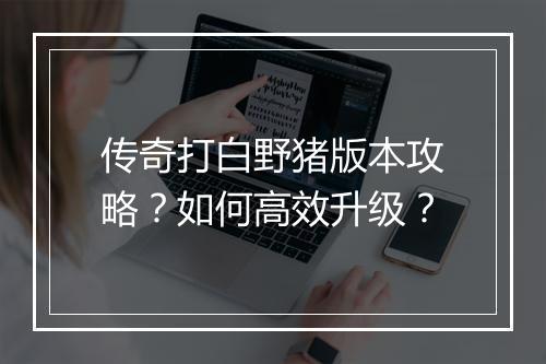 传奇打白野猪版本攻略？如何高效升级？