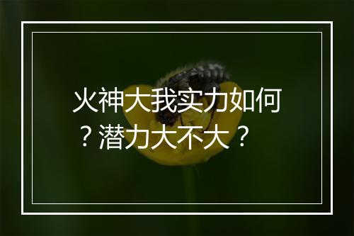 火神大我实力如何？潜力大不大？