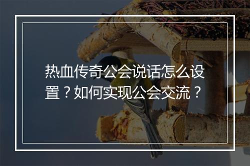 热血传奇公会说话怎么设置？如何实现公会交流？
