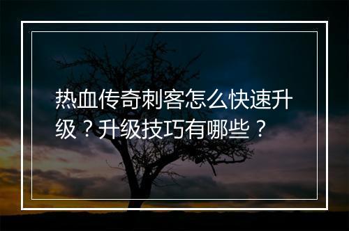 热血传奇刺客怎么快速升级？升级技巧有哪些？